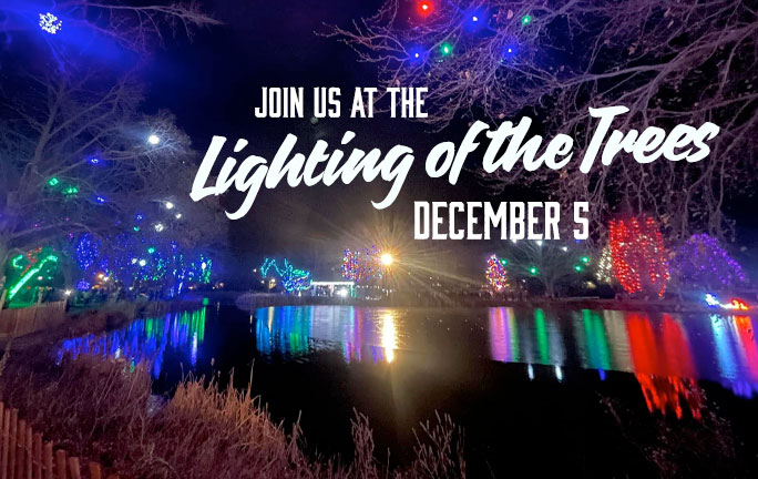 Mill Creek Park Tree Lighting